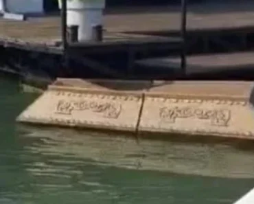 Mrtvački sanduk plovio Savom: Jeziv prizor šokirao je građane – zvali rečnu policiju, evo šta je bilo u njemu (FOTO)