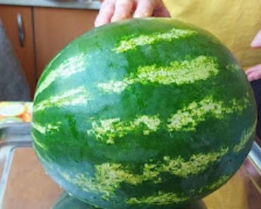 Uzgajivač otkrio kako odabrati najbolju lubenicu: Zaboravite na lupkanje, ovo je pravi način