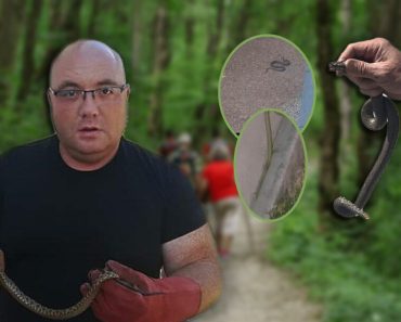 POSKOK UBIO SLOVENKU, UMRLA U NAJGORIM MUKAMA Oglasio se zmijolovac Vladica: Ovo odmah uradite ako vas ujede zmija!