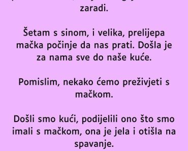 Nisu IMALI novca a onda je POČELA da ih prati MAČKA , kada su malo BOLJE pogledali šokirali su se!
