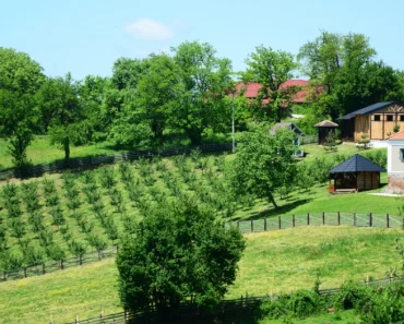 Celo  SEOSKO gazdinstvo u Srbiji za 18.000 evra: Evo gde se nalazi imanje iz ponude