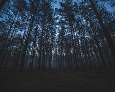 „Godinama me jeza prođe kad se setim šta se desilo te večeri – i šta mi je deda rekao sutradan.“