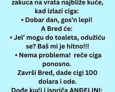 Vic Dana : Sta to ciga ima…