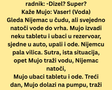 Vic Dana : Kakva je ta ….