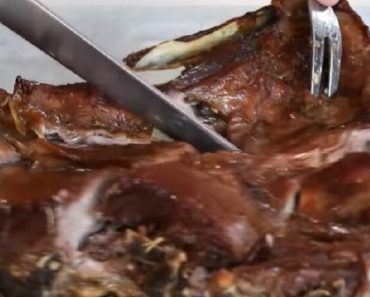 ŠTA JE OVO? Seli na jagnjetinu, a kad su videli račun zanemeli od šoka: Od cifre će i vama presesti (FOTO) ŠTA JE OVO? Seli na jagnjetinu, a kad su videli račun zanemeli od šoka: Od cifre će i vama presesti (FOTO)