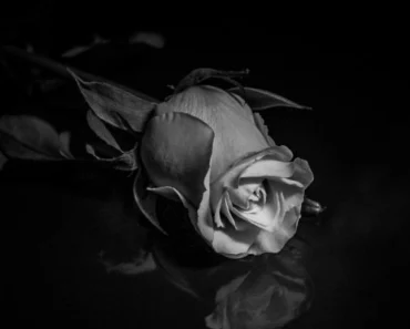 Umro legendarni srpski glumac (77)