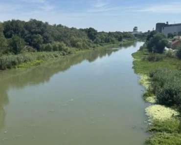 Čudovište iz Begeja: Umalo mu ruku nije otkinulo! ŠOK šta je MILOŠ upecao! FOTO Čudovište iz Begeja: Umalo mu ruku nije otkinulo! ŠOK šta je MILOŠ upecao! FOTO