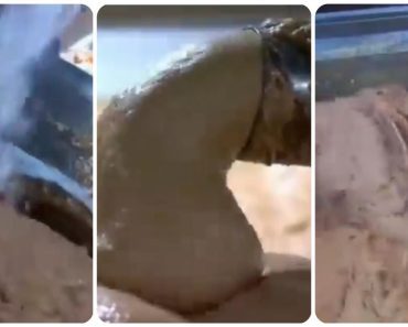 OVO JE NAJOPASNIJA NAMIRNICA, A STALNO JEDEMO: Stalno je na SNIŽENJU, a niko vam neće reći da može biti OTROVNA!