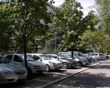 U Srbiji cveta biznis koji donosi ozbiljne pare, a malo ko za njega zna: Ulaže se minimalno, a zarađuje vrhunski