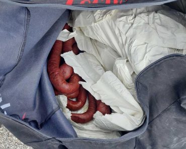 ŠTA SE OVO DESILO U VRANJU?! Carinici zanemeli kada su otvorili autobus – ljudi, ovo nije realno, kakva zaplena!