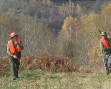 LOVAC SLUČAJNO UBIO NAJBOLJEG PRIJATELJA, MISLIO DA JE DIVLJA SVINJA: Detalji tragedije na Kamenoj Gori