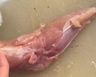 SRBI SE DAVE U OVOM MESU, A NE ZNAJU ŠTA UNOSE! Srpski lekari otkrili šta radi OGRANIZMU! “Zbog toga nam deca…”