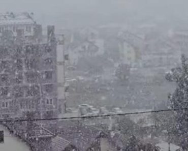 Novembarski sneg stiže brže nego što smo očekivali: Zabeleće se ovog datuma…. Novembarski sneg stiže brže nego što smo očekivali: Zabeleće se ovog datuma….