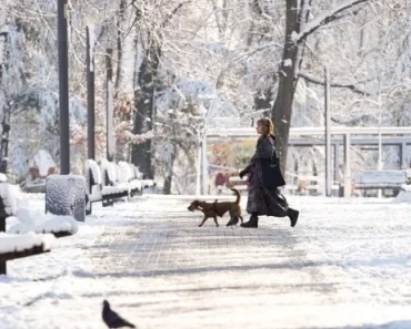 Zabeleće se gradovi: Sneg stiže ranije nego što mislite – Ovog datuma ima da veje i u Beogradu