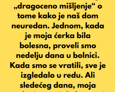 Moja svekrva je ponudila pomoć dok je naša ćerka bila bolesna — a onda je…