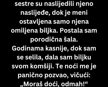 Baka je umrla i nije mi ostavila ništa ali godinama kasnije je usledio ….