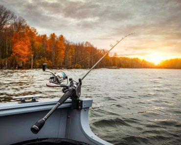 Cela Srbija bruji o monstrumu kojeg je upecao Ivan Mančić: Slika se munjevito deli, kako je ovo moguće (FOTO)