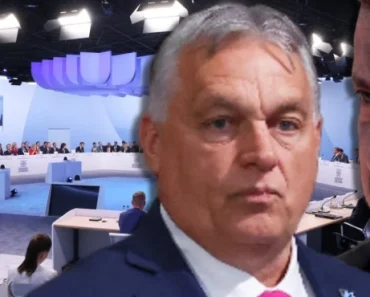 Orban Zelenskog postavio na mesto: Ovakve reči nije smeo da izgovori, mnogo je uprskao… Orban Zelenskog postavio na mesto: Ovakve reči nije smeo da izgovori, mnogo je uprskao…