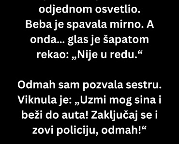 Čuvala sam sestrino dete. U 3 ujutru, baby monitor se odjednom upalio…