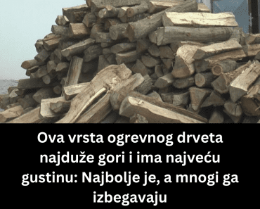 Ova vrsta ogrevnog drveta najduže gori i ima najveću gustinu: Najbolje je, a mnogi ga izbegavaju